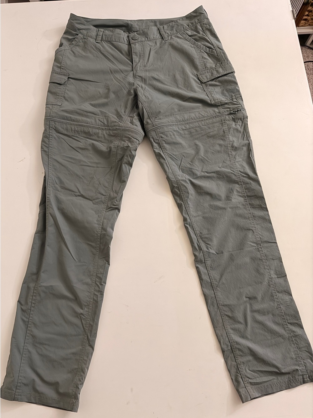 The North Face Paramount 2.0 Convertible Pant, Women’s 10